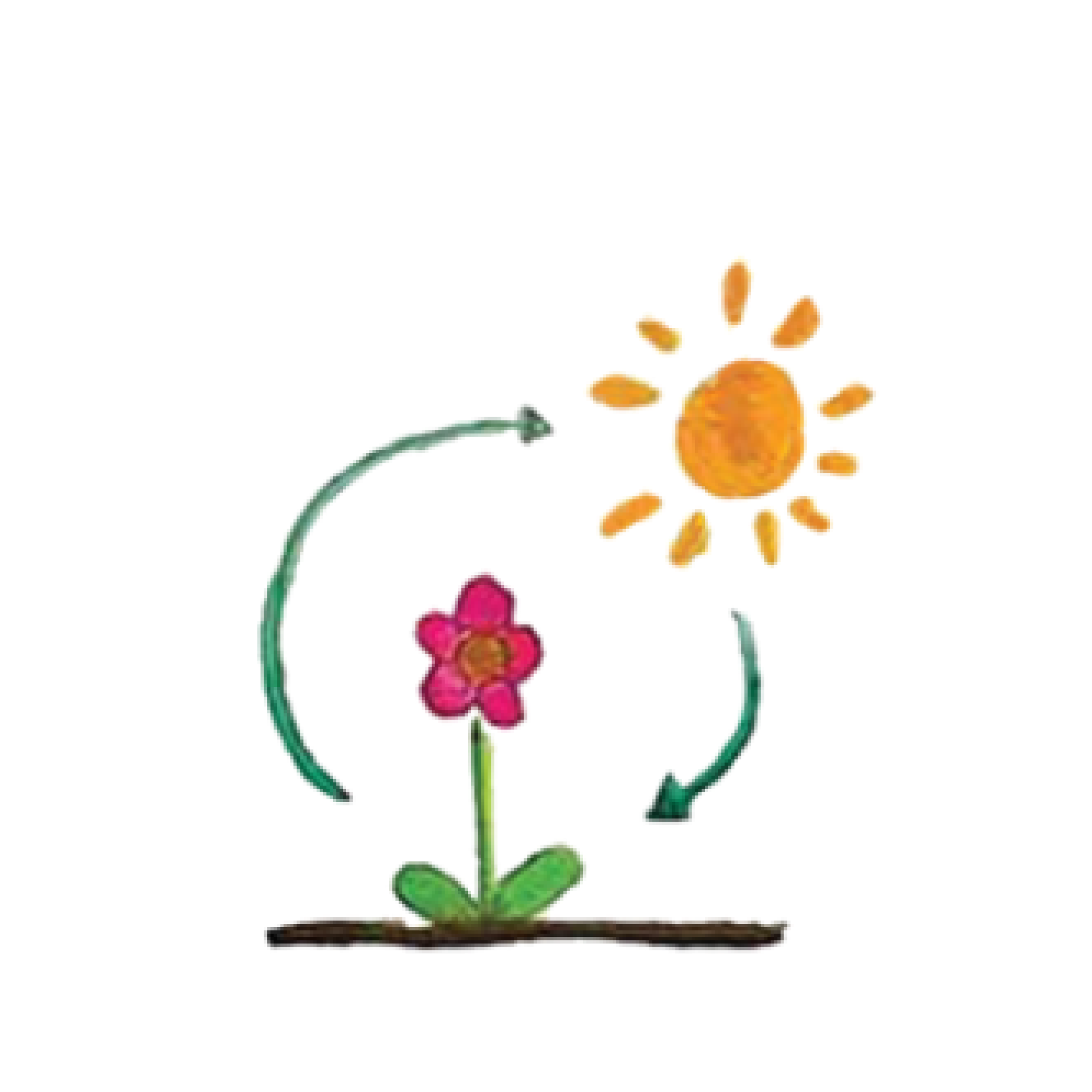 Climate Literacy Education Climate Adaptation Education